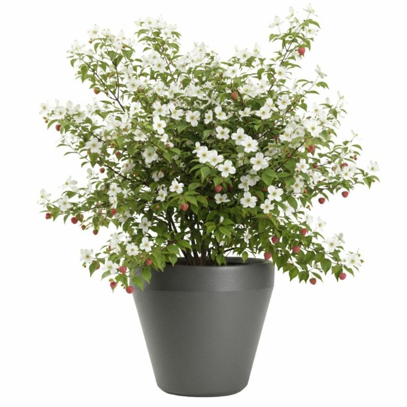 Donica Purea HowHomely ogrodowa duża antracyt h41,2x46,4 cm 1 szt.