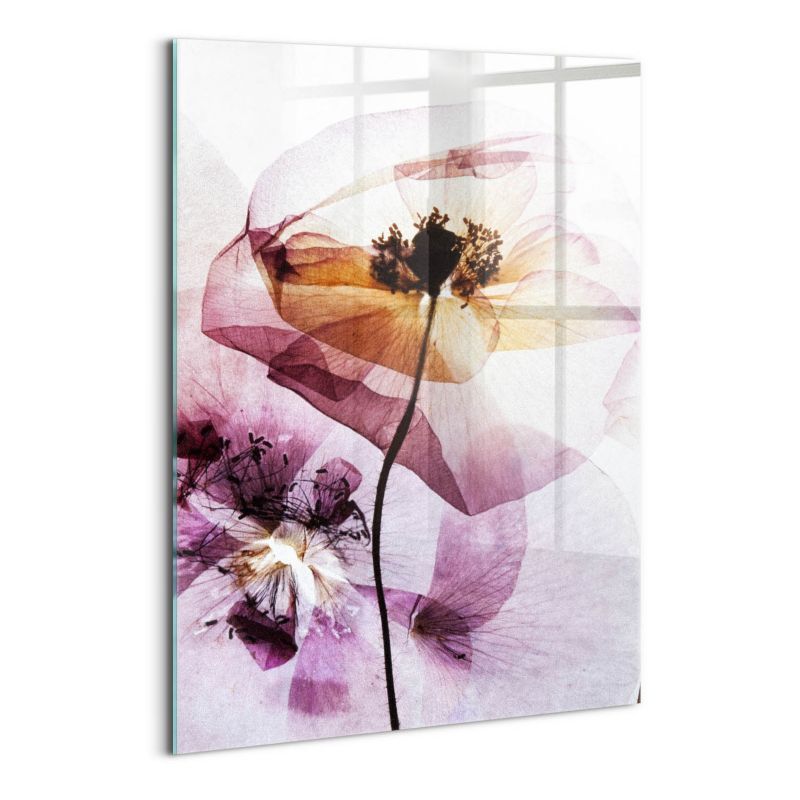 Foto Obraz Ścienny Szklany Wallfluent 70x100 cm Suche kwiaty maki 1 szt.