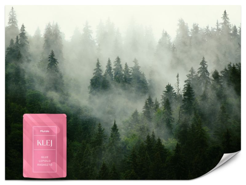 Fototapeta Muralo Zamglony Las Natura 250x175 cm 1szt.
