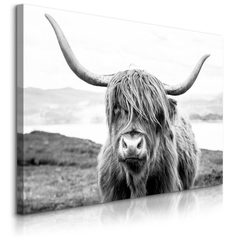 Obraz Muralo Do Salonu Krowa Szkocka Klify Czarno-Biały Krajobraz Natura 90x60 cm 1 szt.