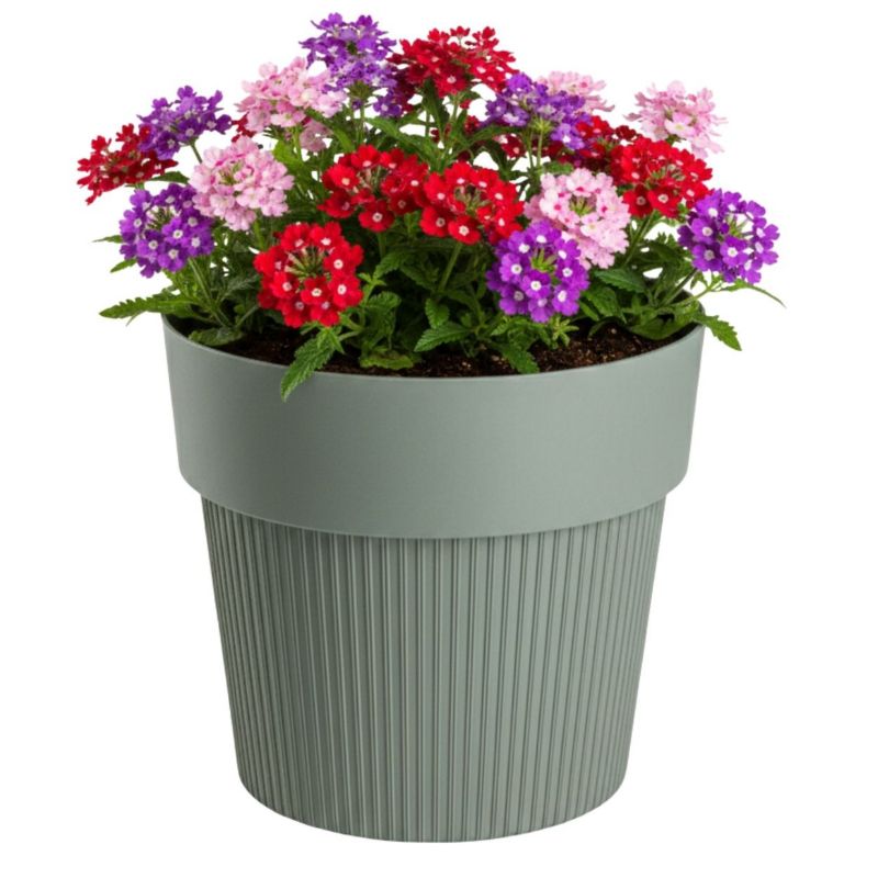 Donica plastikowa SILVA LINE HowHomely szarozielona okrągła do domu 20 cm 1 szt.