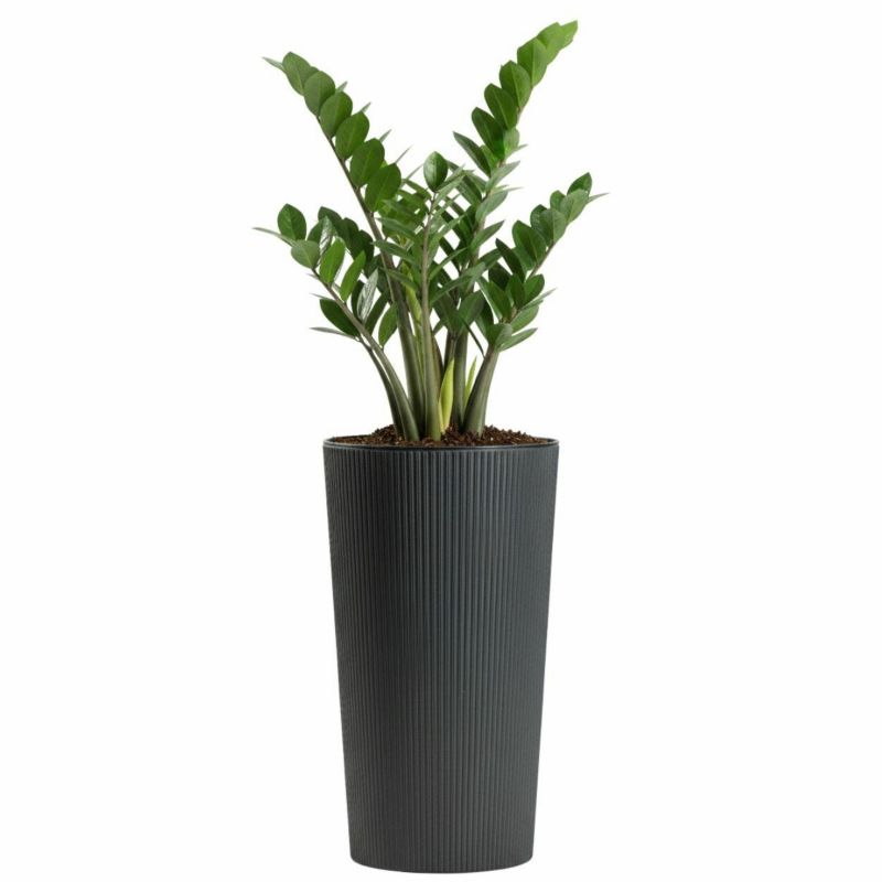 Wysoka doniczka Urbanika ECO HowHomely z wkładem plastikowa antracyt h46,6x25,5 cm 1 szt.