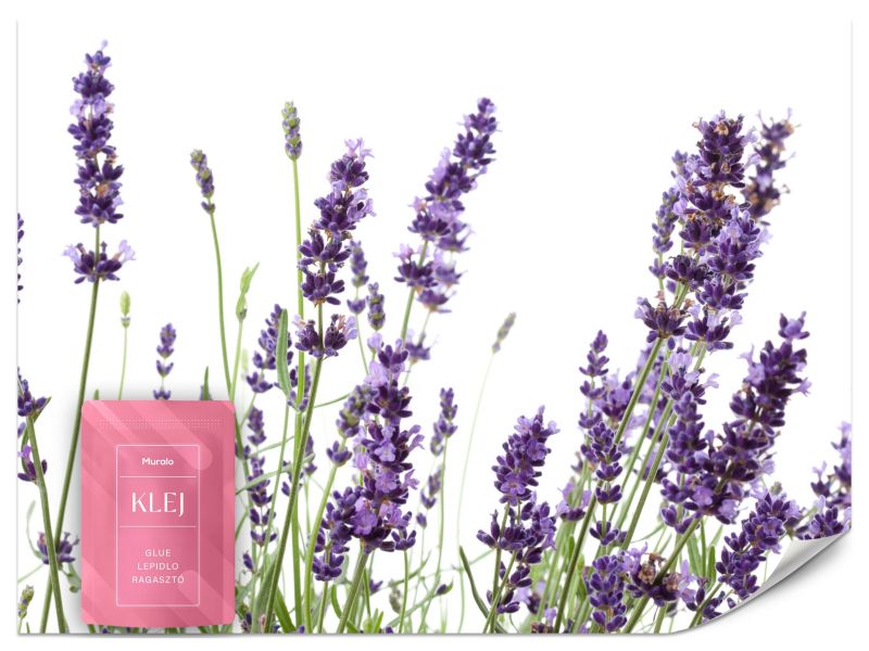 Fototapeta Muralo Kwiaty Lawendy Natura 400x280 cm 1szt.