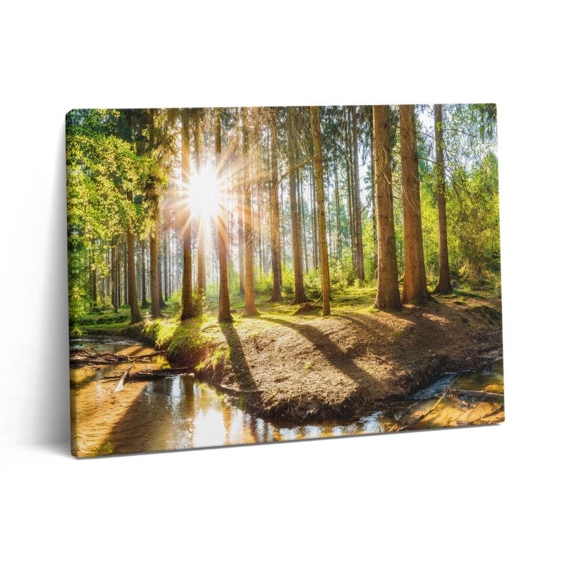 Obraz na płótnie Wallfluent 80x60 cm Słońce za drzewami w lesie 1 szt.