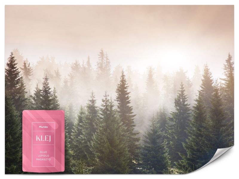 Fototapeta Muralo Las we Mgle Natura 500x350 cm 1szt.