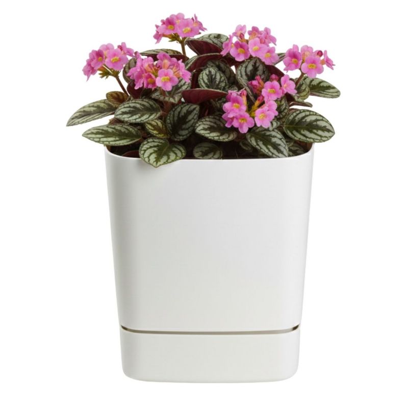 Donica z podstawką CUBI HowHomely plastikowa kremowa kwadratowa 16x16 cm 1 szt.