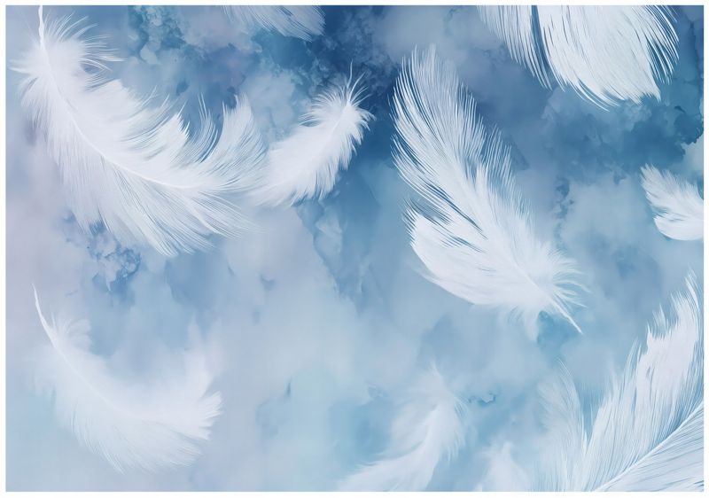 Fototapeta WALLARENA Do Sypialni Salonu Na Flizelinie Pióra Abstrakcja Beton 250x175 cm Tapeta Ścienna 1 szt.