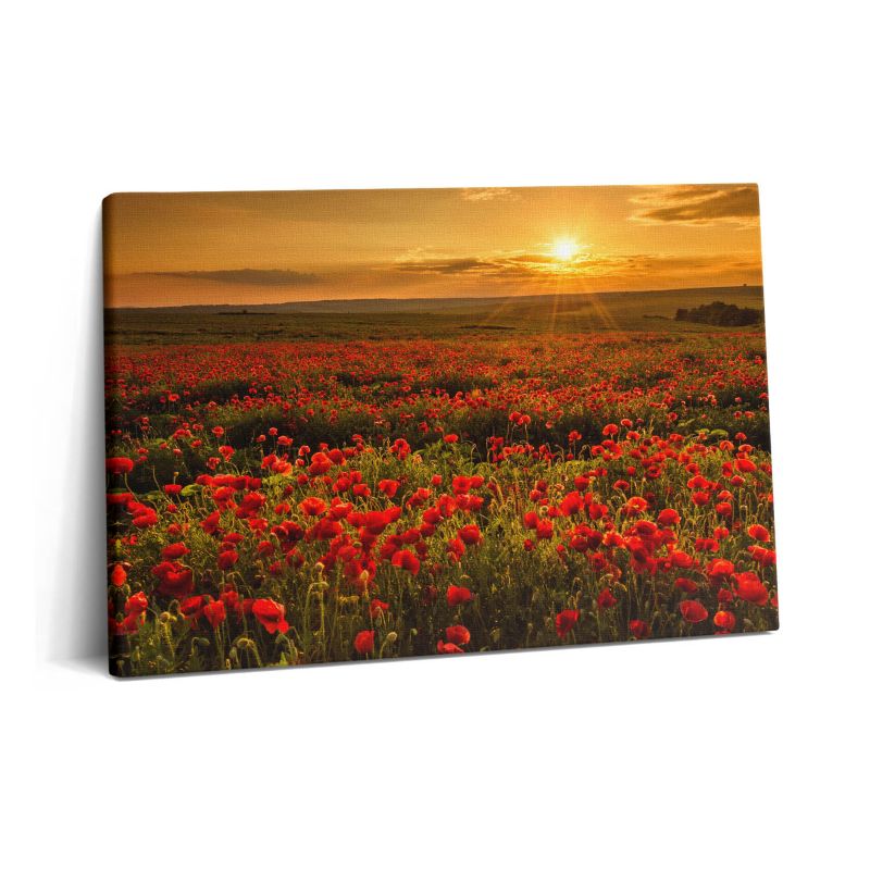 Obraz na płótnie Wallfluent 60x40 cm Pejzaż łąki kwiatów maków 1 szt.