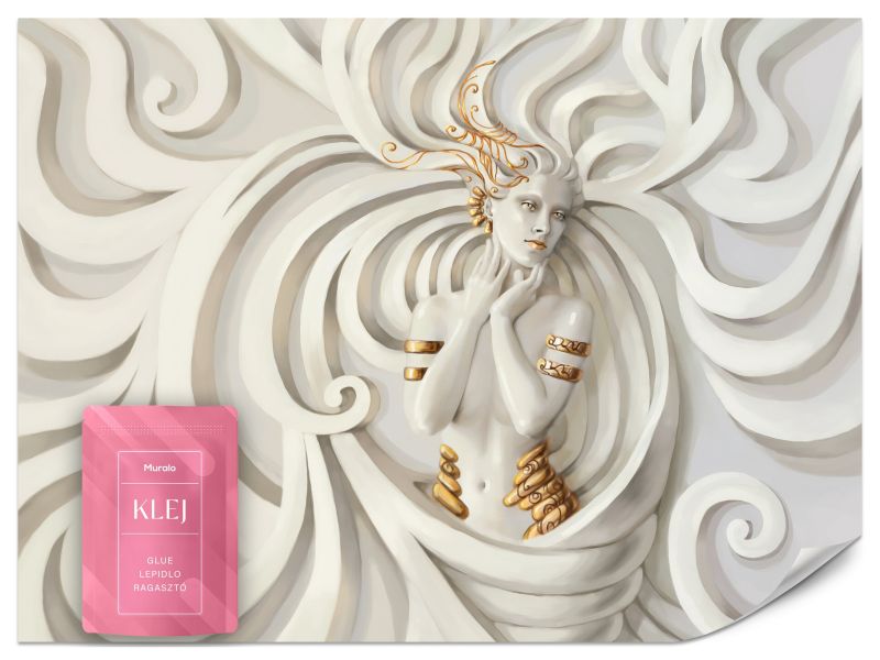 Fototapeta Muralo Meduza Abstrakcja Sztuka 300x210 cm 1szt.