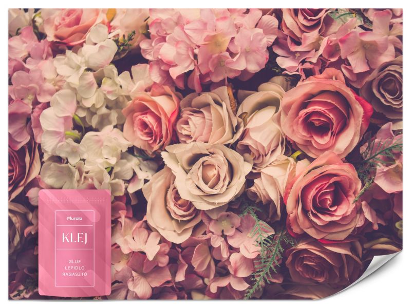 Fototapeta Muralo Kwiaty w Stylu Retro Natura 150x105 cm 1szt.