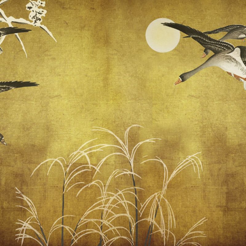 fototapeta Sanders & Sanders ptaki ochry żółtej 424 x 280 cm - 1 rol.