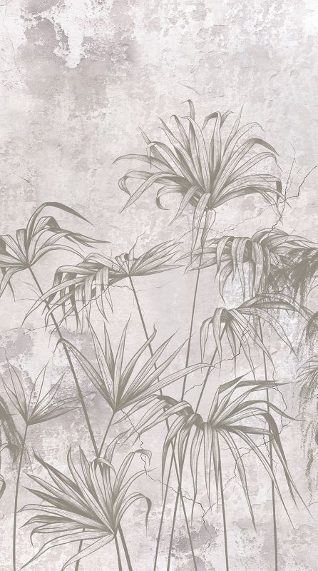fototapeta Sanders & Sanders rośliny tropikalne szarym 270 x 150 cm - 1 rol.