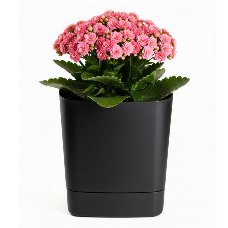 Donica z podstawką CUBI HowHomely plastikowa czarna kwadratowa 19x19 cm 1 szt.