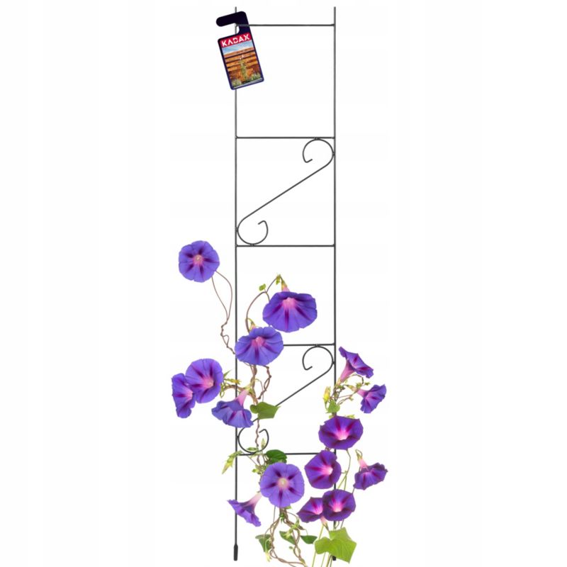 Pergola KADAX Drabinka Ogrodowa Podpora Ogrodowa Na Kwiaty Róże Róż Pnącz 150cm 1 szt.