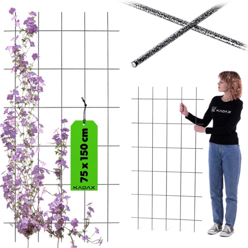 Pergola KADAX Krata Ogrodowa Na Kwiaty Do Roślin Pnących 75x150 1 szt.
