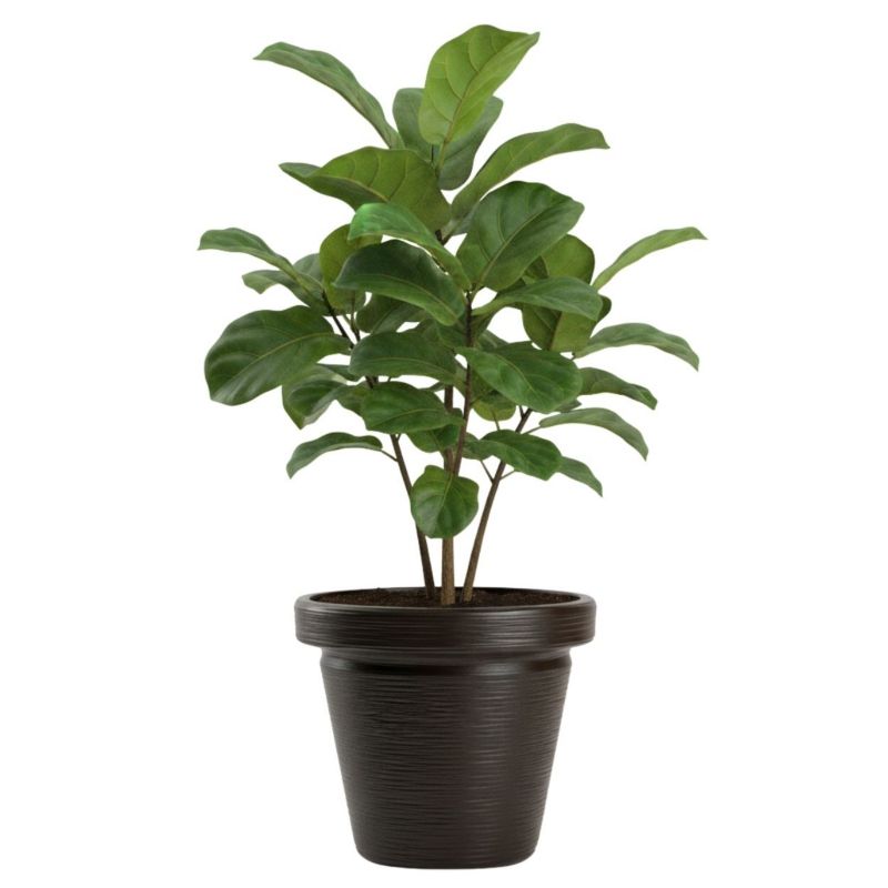 Donica Srtia Riflo HowHomely ogrodowa szeroka mokka h40x46 cm 1 szt.