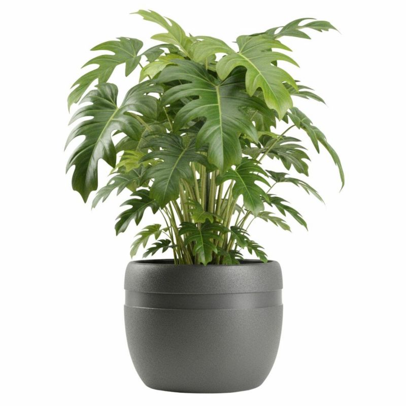 Doniczka ogrodowa LUNA CLASSIC HowHomely antracyt plastikowa 40xh32,2 cm 1 szt.