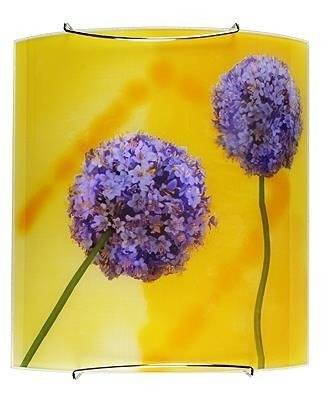 Wielokolorowy kinkiet ścienny do salonu GARLIC 1 punkt świetlny