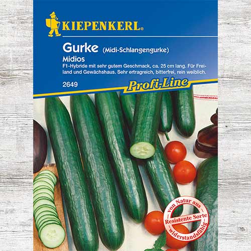 1 szt, Ogórek sałatkowy wężowy Midios F1 - Nasiona: Ilość w opakowaniu: 1 opak