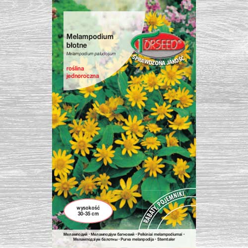1 szt, Melampodium błotne żółte - Nasiona: Ilość w opakowaniu: 0.3 g