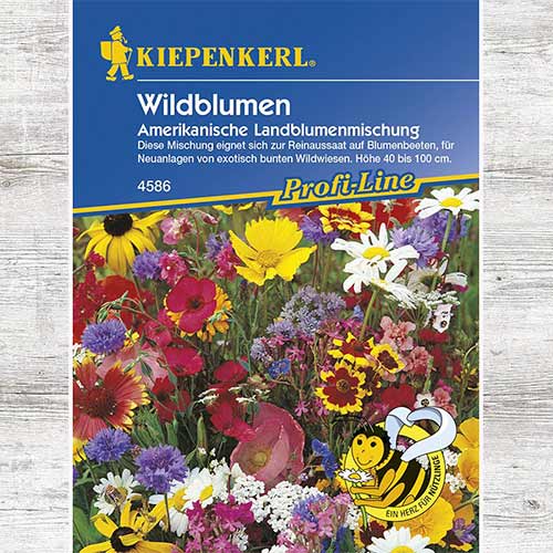 1 szt, Kwiaty dzikie American Country, mieszanka - Nasiona: Ilość w opakowaniu: 1 opak