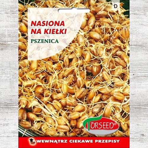 1 szt, Pszenica, nasiona na kiełki - Nasiona: Ilość w opakowaniu: 50 g