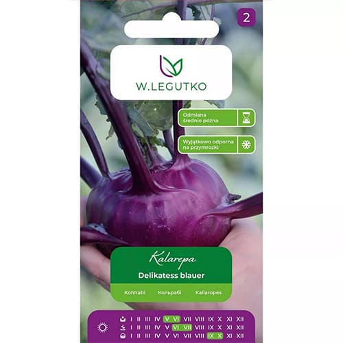 1 szt, Kapusta kalarepa Delikatess blauer - Nasiona: Ilość w opakowaniu: 2 g