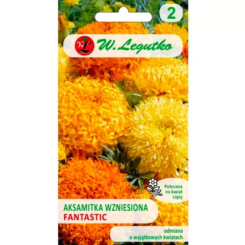 1 szt, Aksamitka wzniesiona Fantastic, mix - Nasiona: Ilość w opakowaniu: 0.4 g