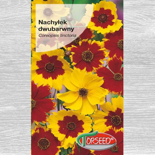 1 szt, Nachyłek dwubarwny - Nasiona: Ilość w opakowaniu: 2 g