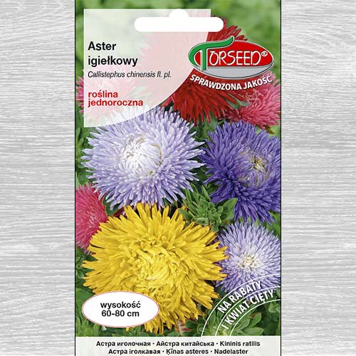 1 szt, Aster chryzantemowy wysoki, mieszanka - Nasiona: Ilość w opakowaniu: 1 g