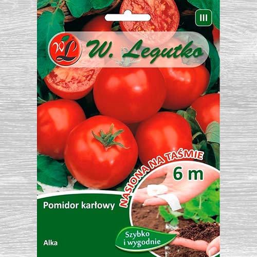 1 szt, Pomidor gruntowy karłowy Alka - Nasiona: Ilość w opakowaniu: 100 szt