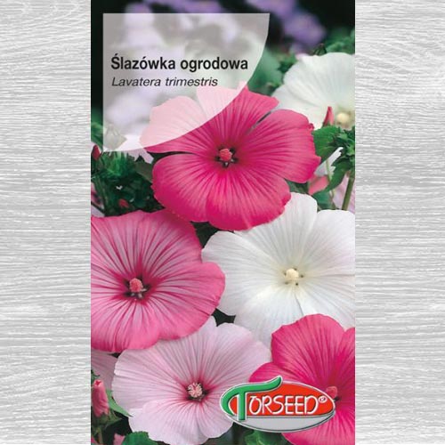 1 szt, Ślazówka, mieszanka - Nasiona: Ilość w opakowaniu: 2 g