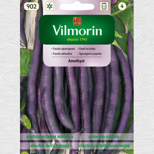 1 szt, Fasola szparagowa Amethyst - Nasiona: Ilość w opakowaniu: 30 g
