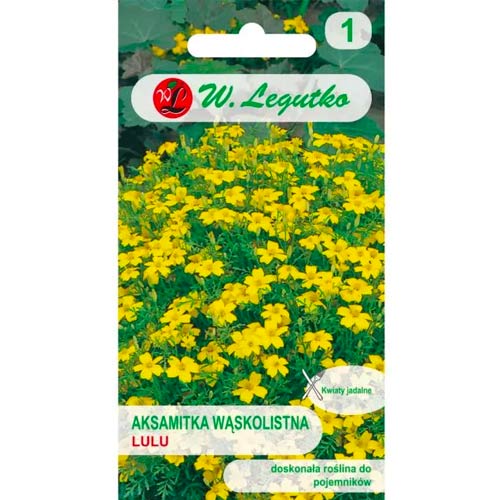 1 szt, Aksamitka Lulu - Nasiona: Ilość w opakowaniu: 0.3 g