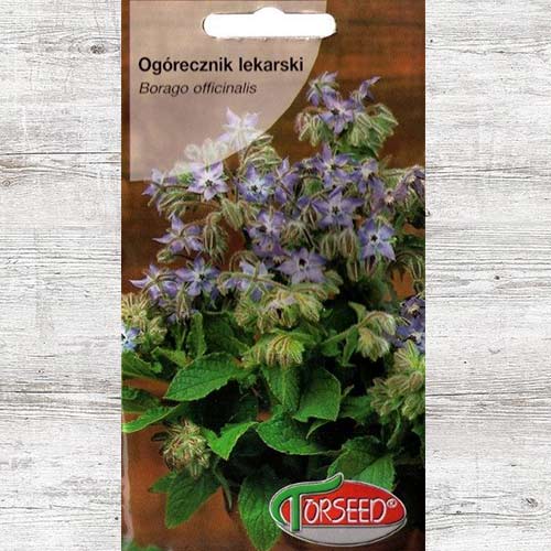 1 szt, Ogórecznik lekarski, nasiona - Nasiona: Ilość w opakowaniu: 2 g