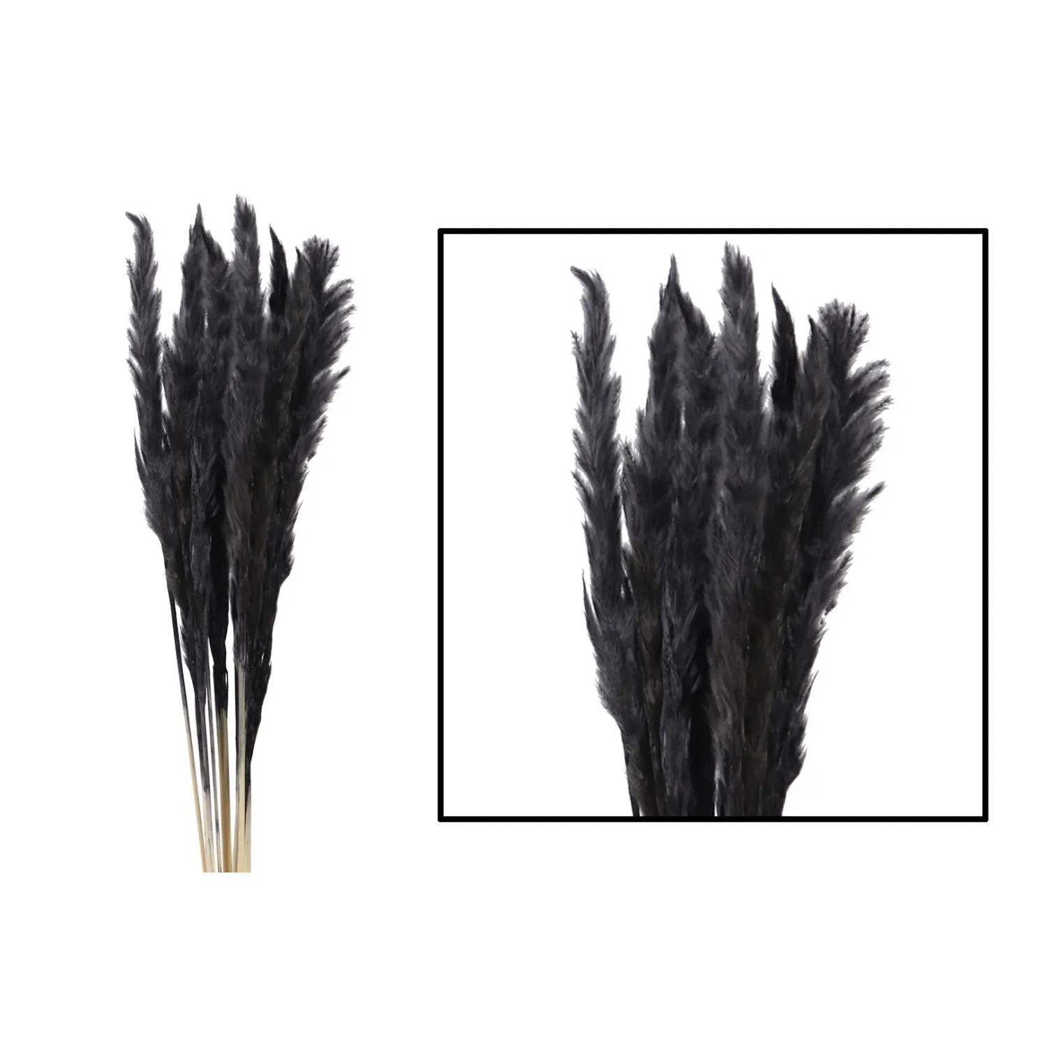 Trawa sztuczna pampasowa Mace 10szt. czarna 65 - 75 cm