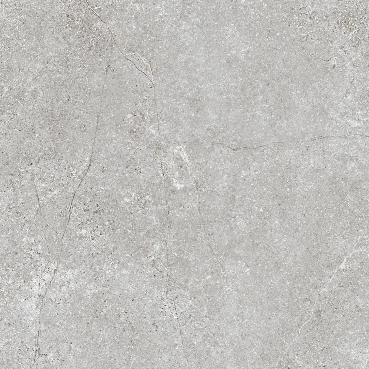 Gres szkliwiony Baredo grey 59,8 x 59,8 cm