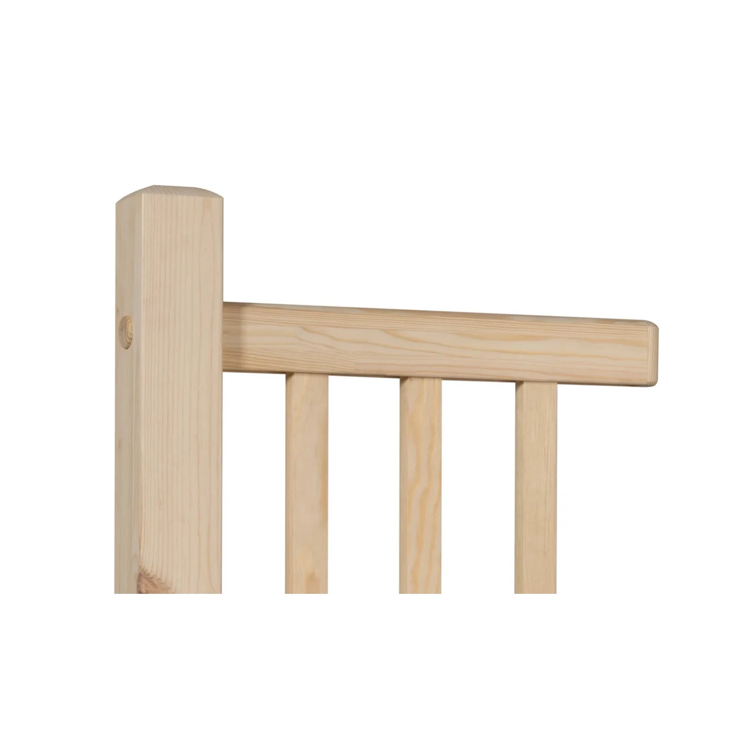 Kornik Kapsle maskujące sosna śr. 20 mm