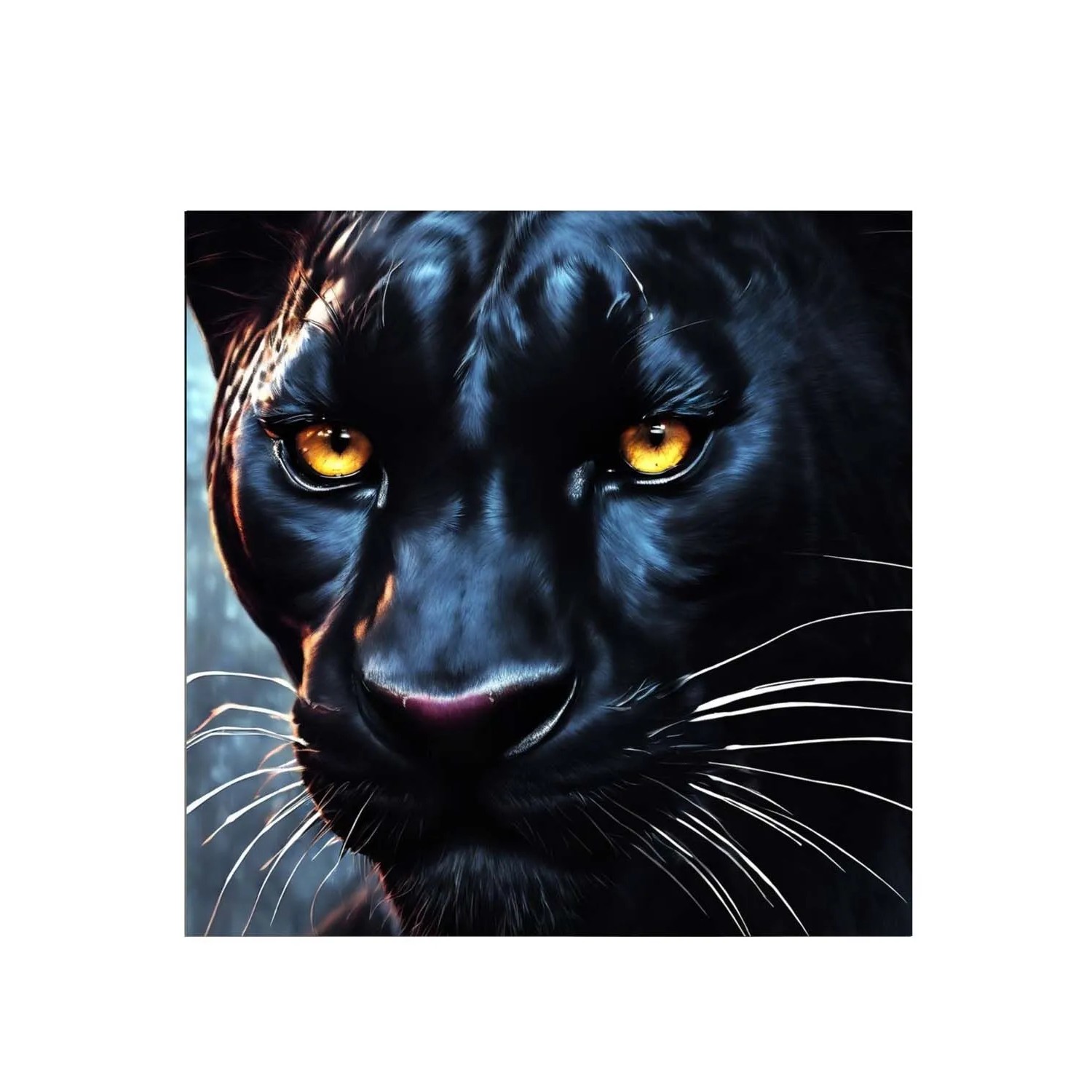 Frames Factory Obraz CANVAS pantera 50 x 50 cm