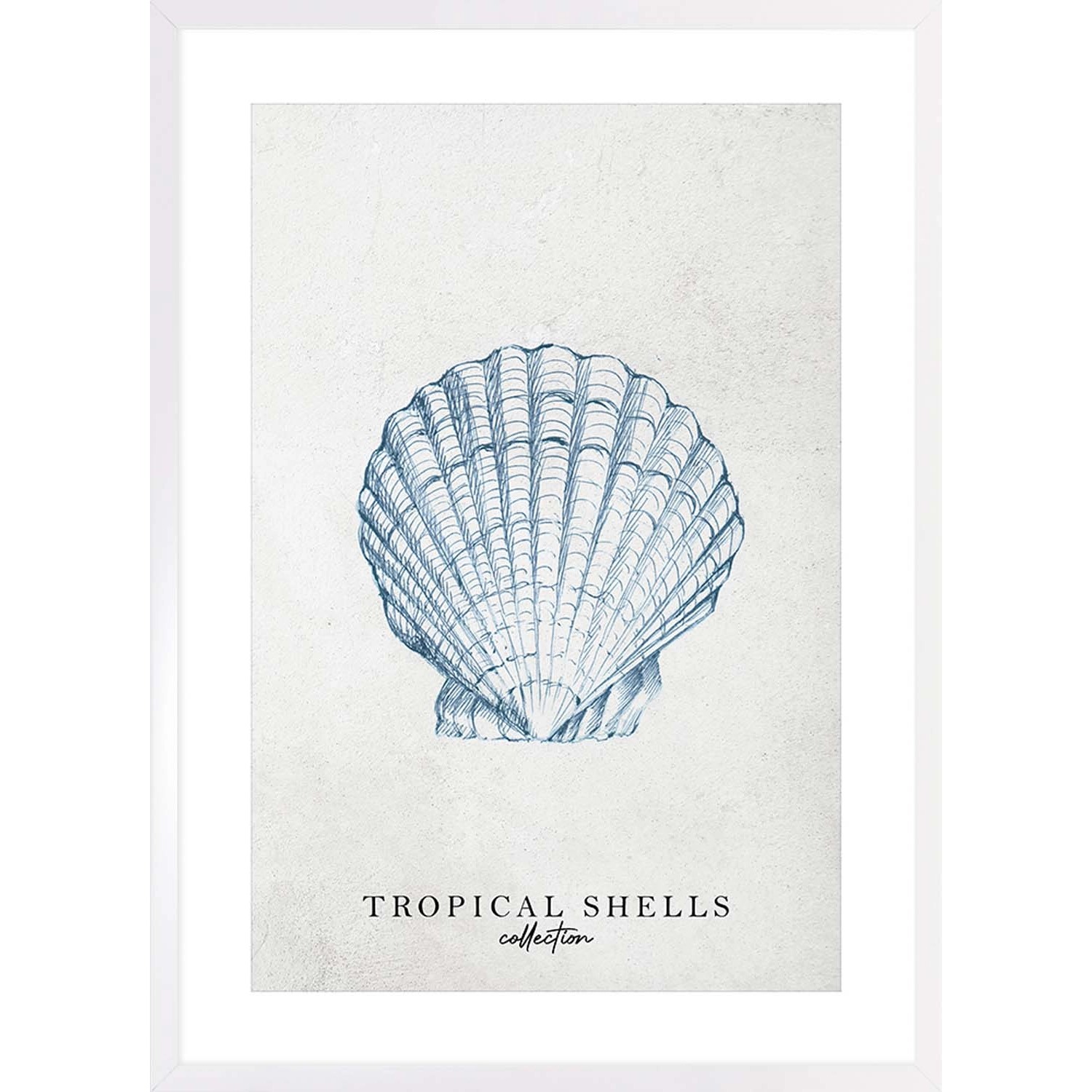 ARS LONGA Obraz TROPICAL SHELLS no.2 53 x 73 cm