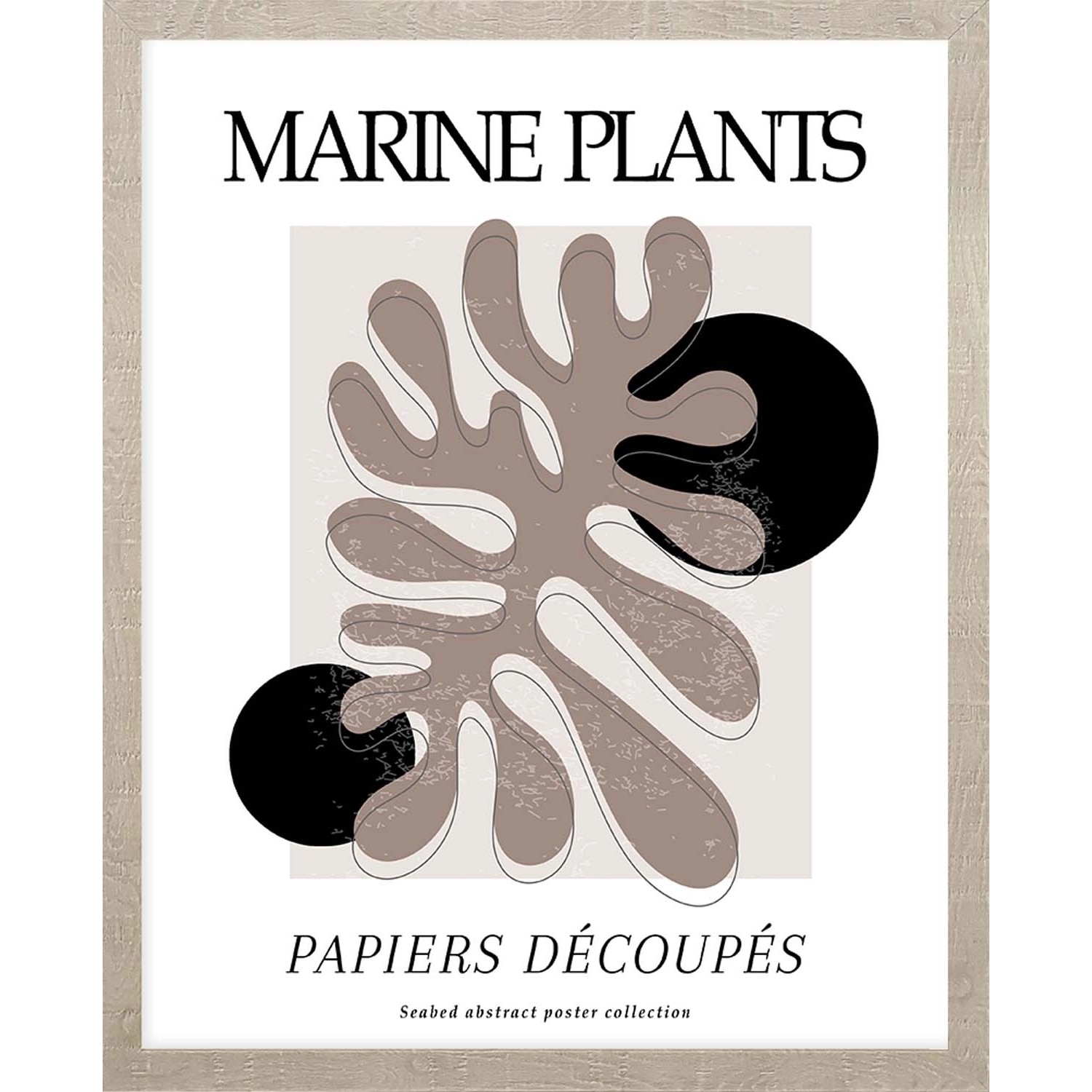 ARS LONGA Obraz MARINE PASTEL PLANTS 43 x 53 cm