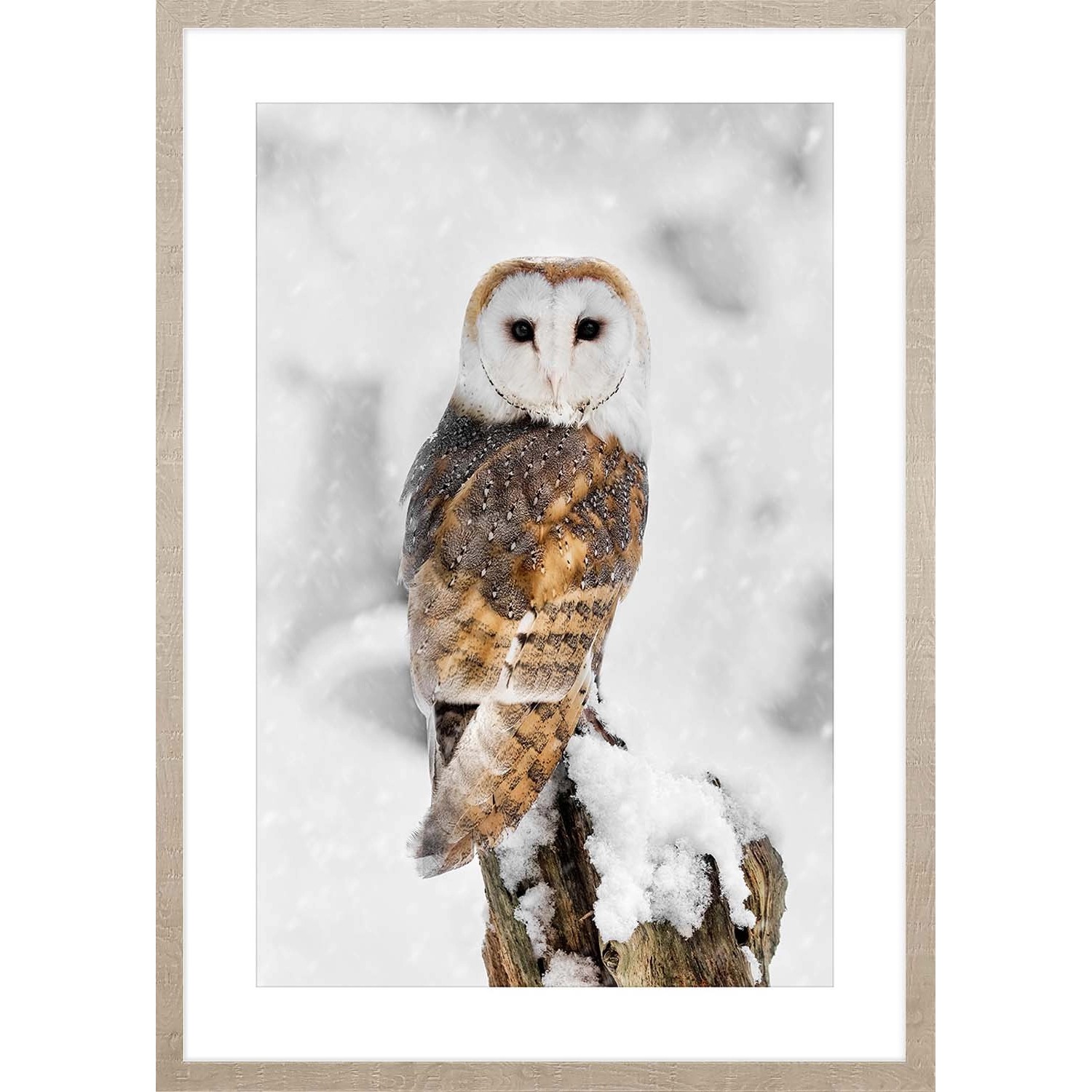 ARS LONGA Obraz OWL IN WINTER 53 x 73 cm