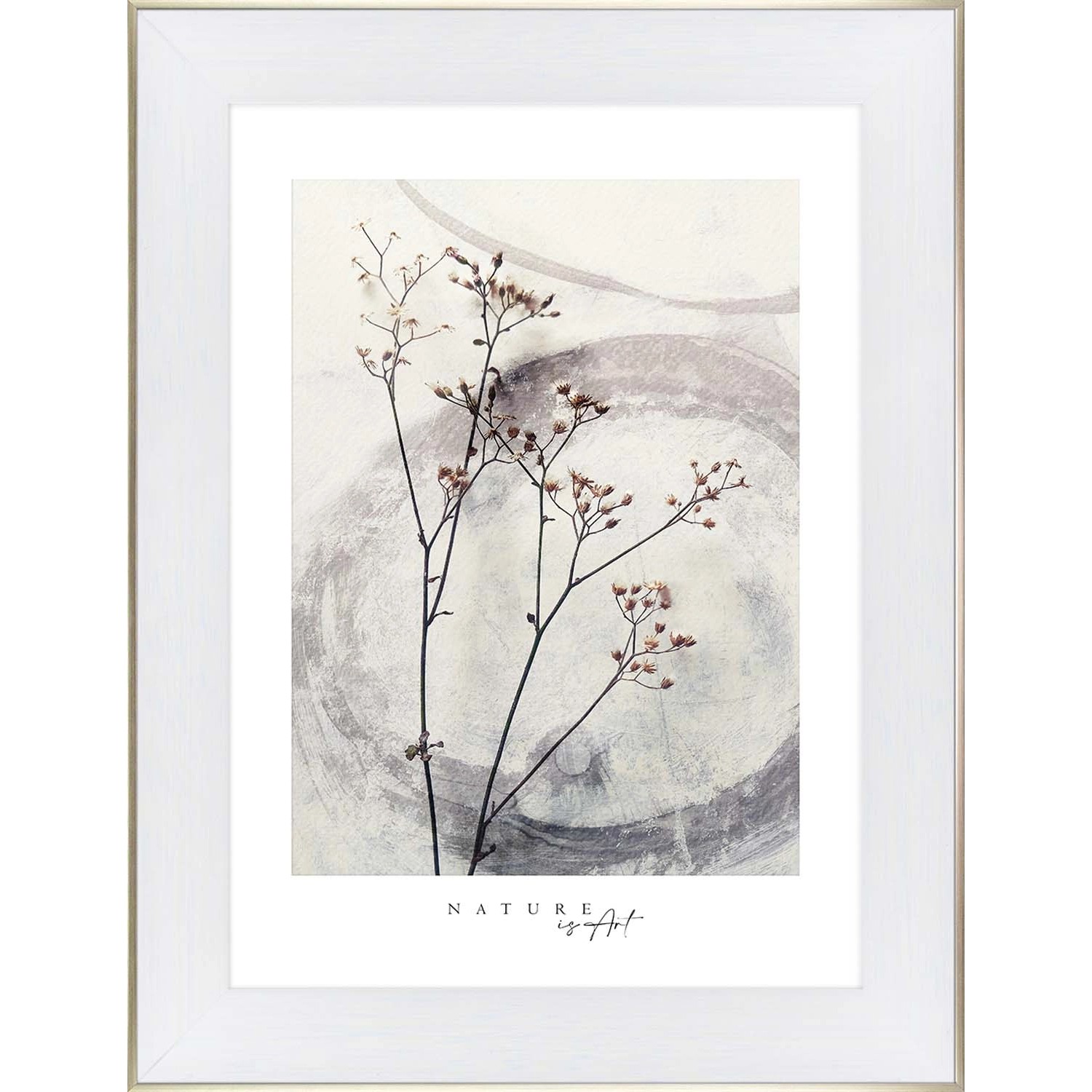 ARS LONGA Obraz WILD FLOWER no.1 64 x 84 cm