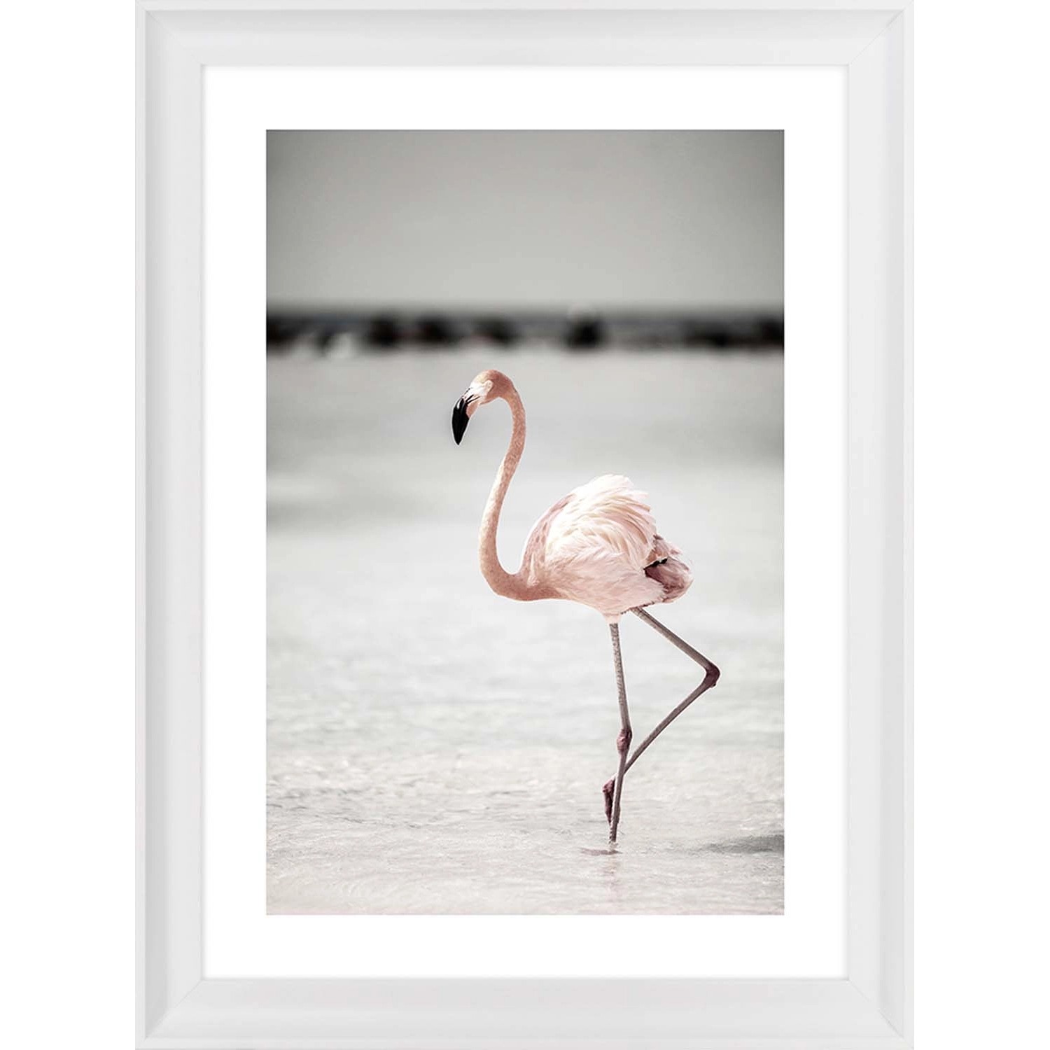 ARS LONGA Obraz FLAMINGO IN WATER 58 x 78 cm