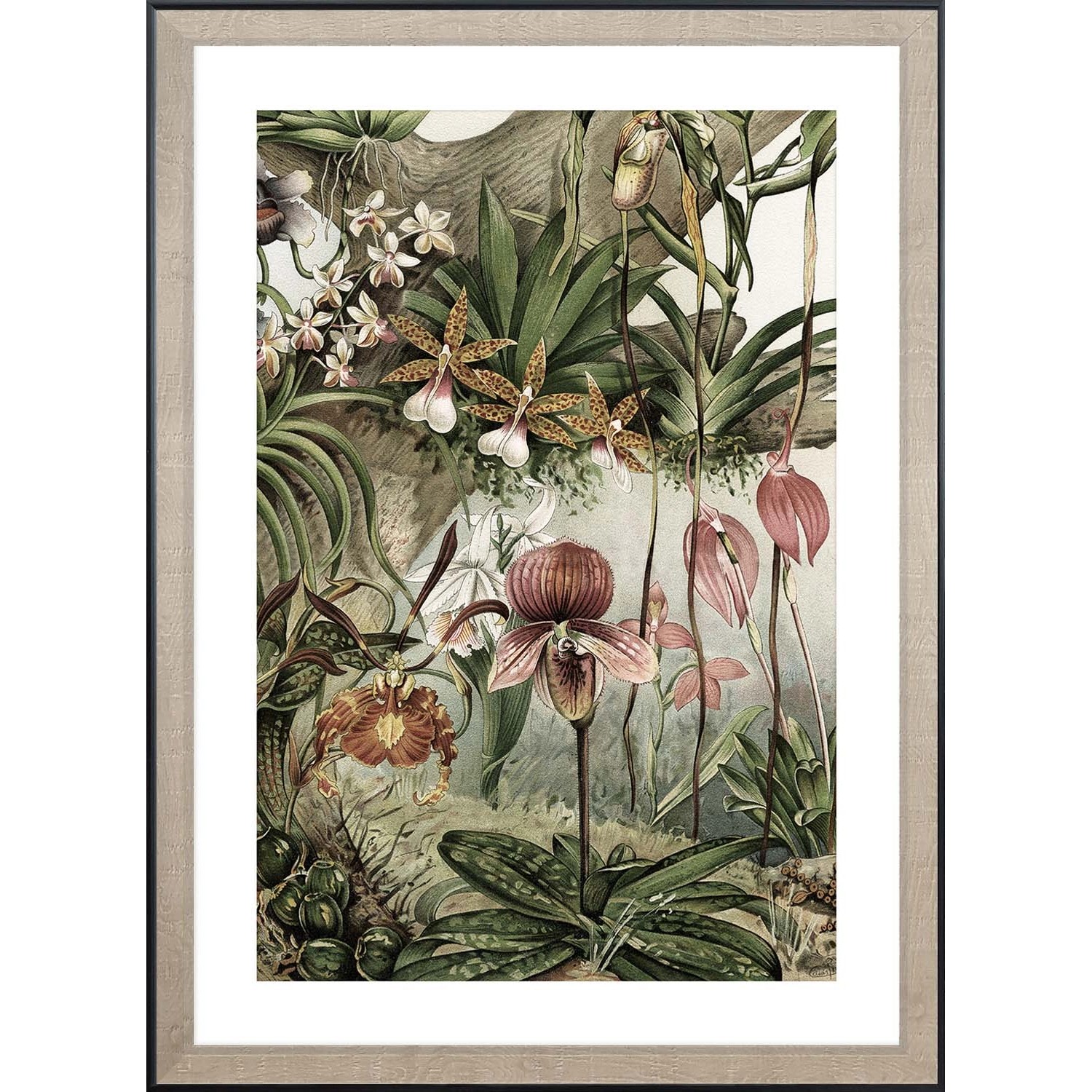ARS LONGA Obraz TROPICAL ORCHIDS 55 x 75 cm