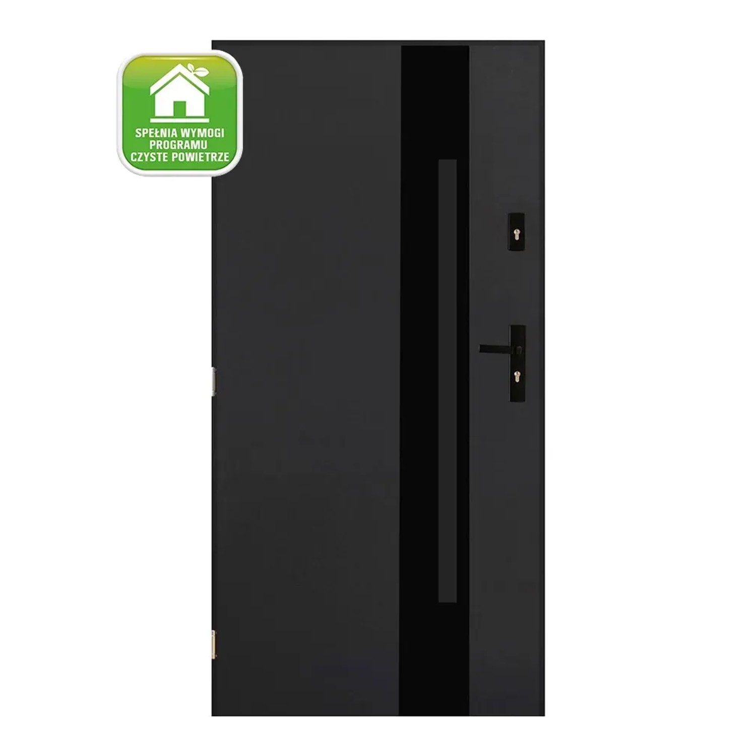 Pantor Drzwi zewnętrzne Madera 2 antracyt 90L