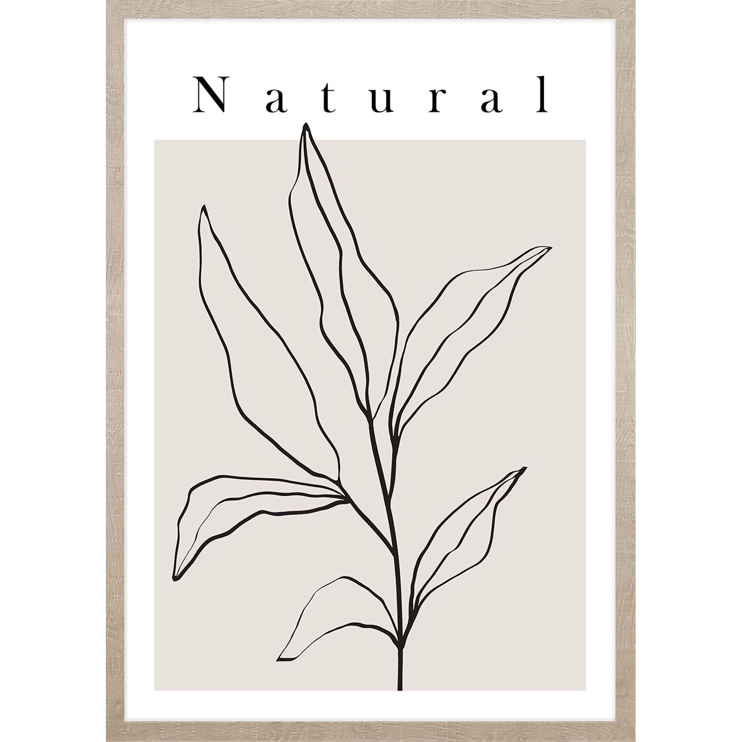 ARS LONGA Obraz ART LINE PLANT no.1 53 x 73 cm