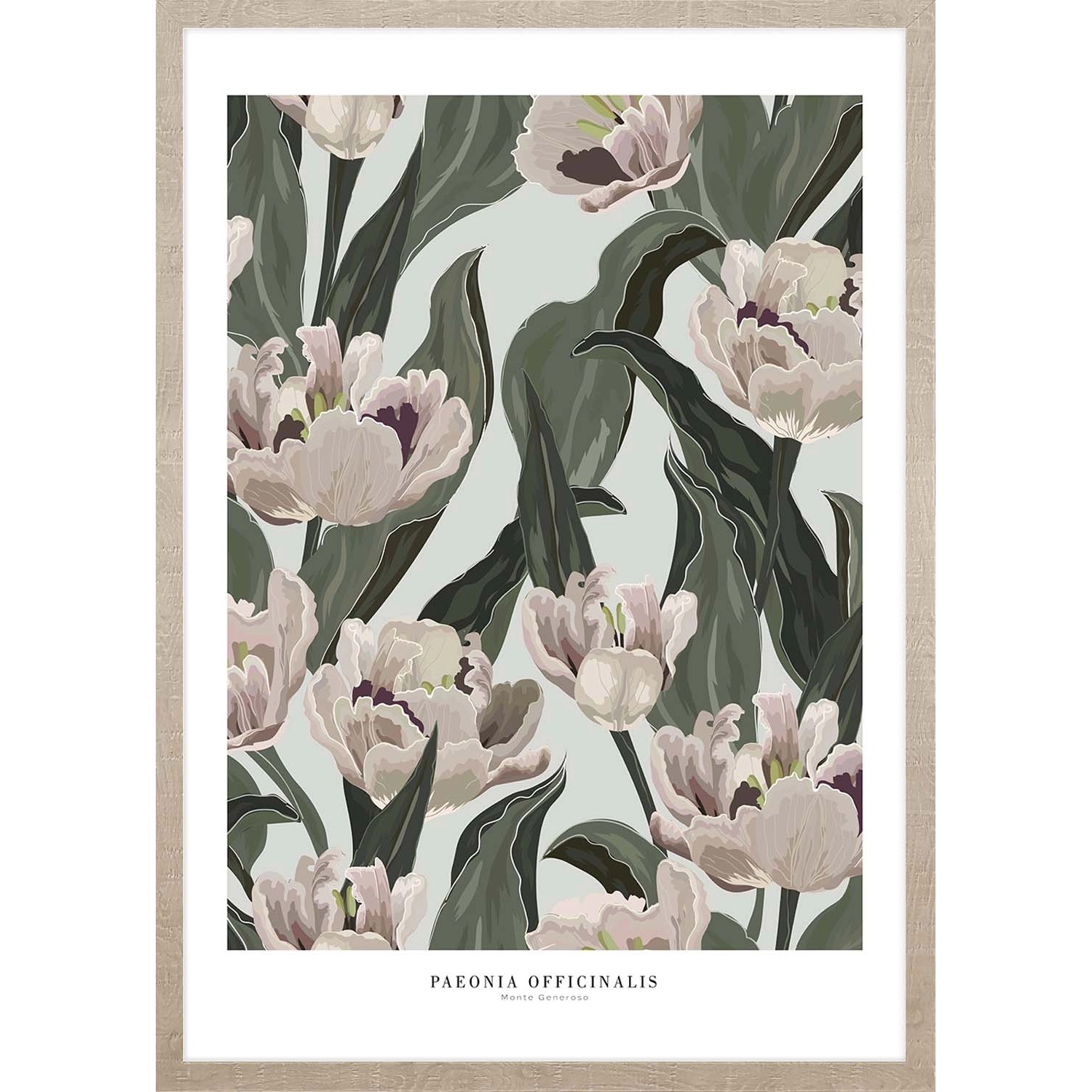 ARS LONGA Obraz OFFICAL PEONIA 53 x 73 cm