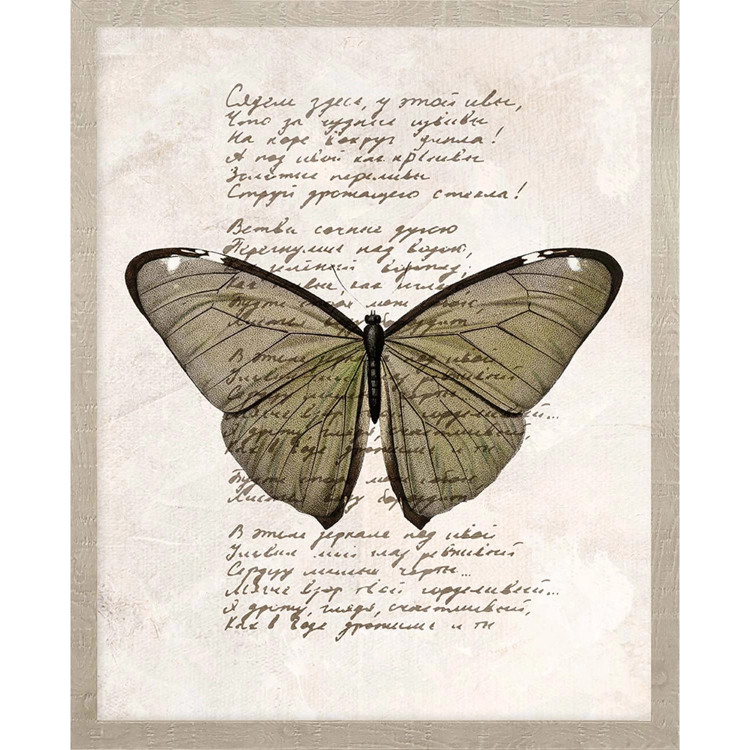 ARS LONGA Obraz BUTTERFLY no.2 43 x 53 cm