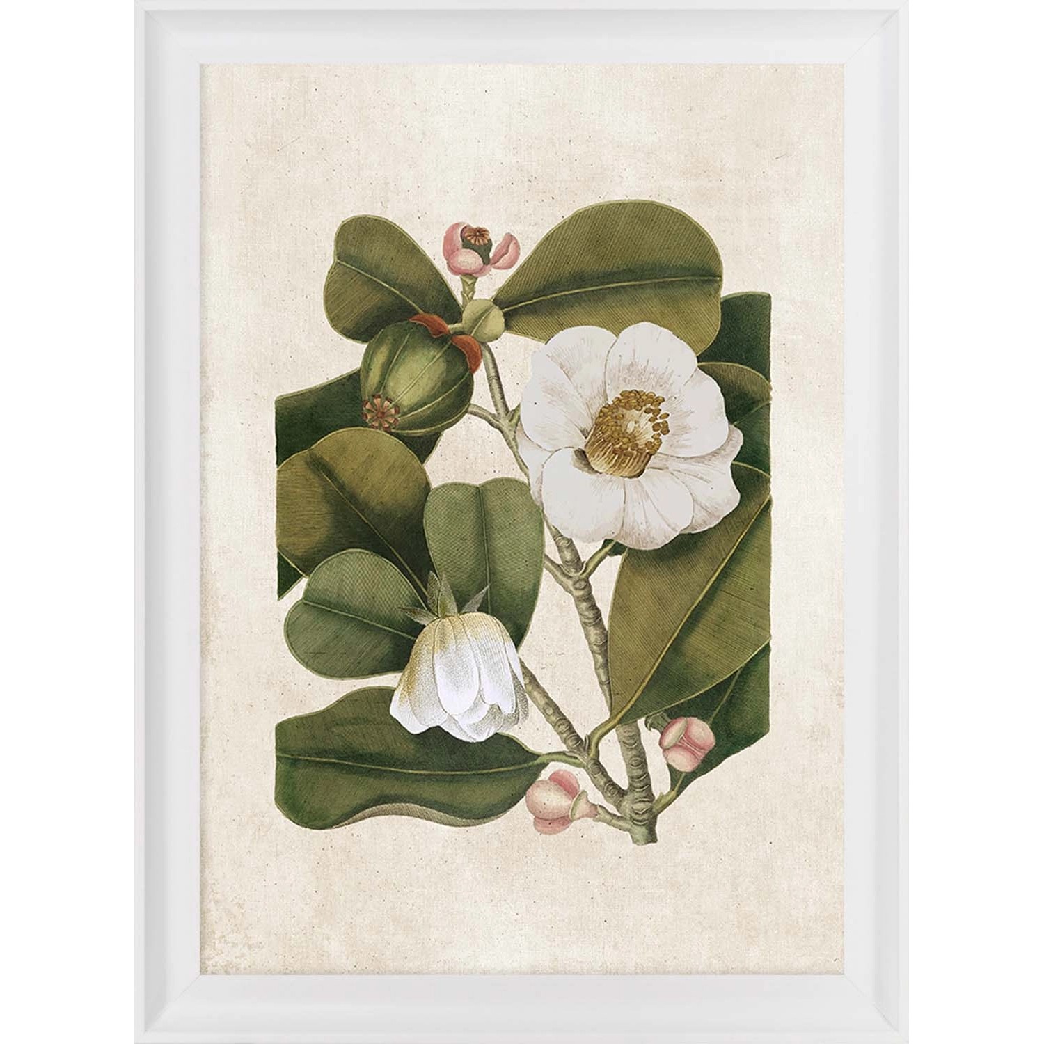 ARS LONGA Obraz FLOWER no.1 58 x 78 cm